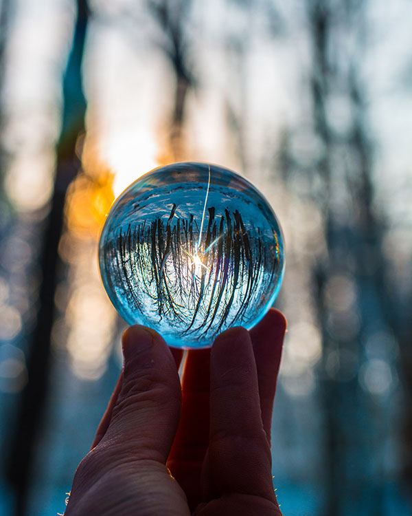 Esfera de vidrio en un bosque