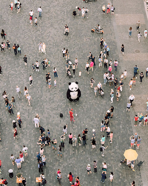 Oso panda en medio de una multitud